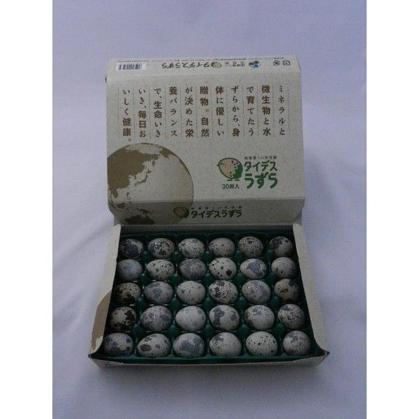 うずら卵　特選 6箱（180個） | 