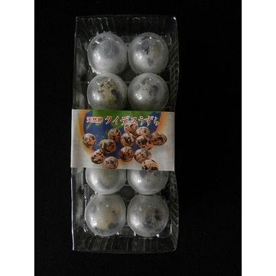 うずら卵　特上 24パック（240個）入　 | 