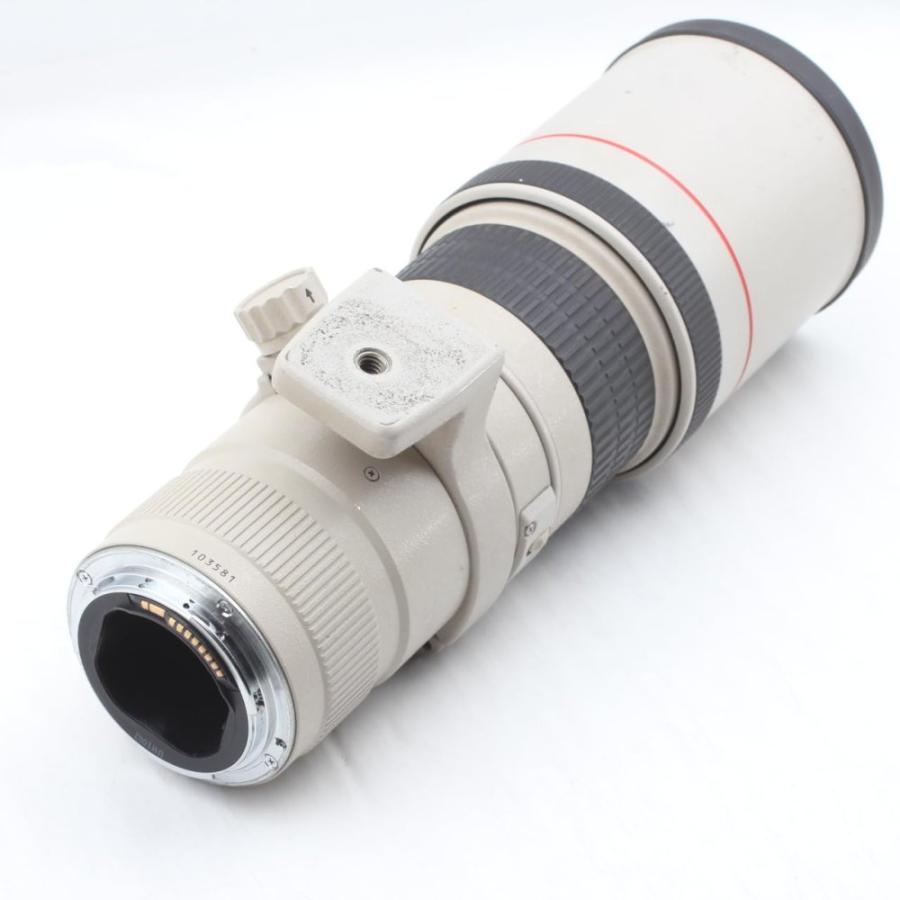 Canon 単焦点超望遠レンズ EF400mm F5.6L USM フルサイズ対応 : SHOP