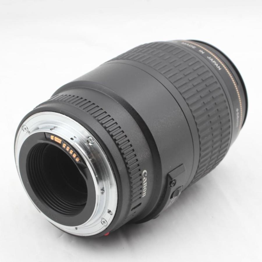 Canon 単焦点マクロレンズ EF100mm F2.8 マクロ USM フルサイズ対応