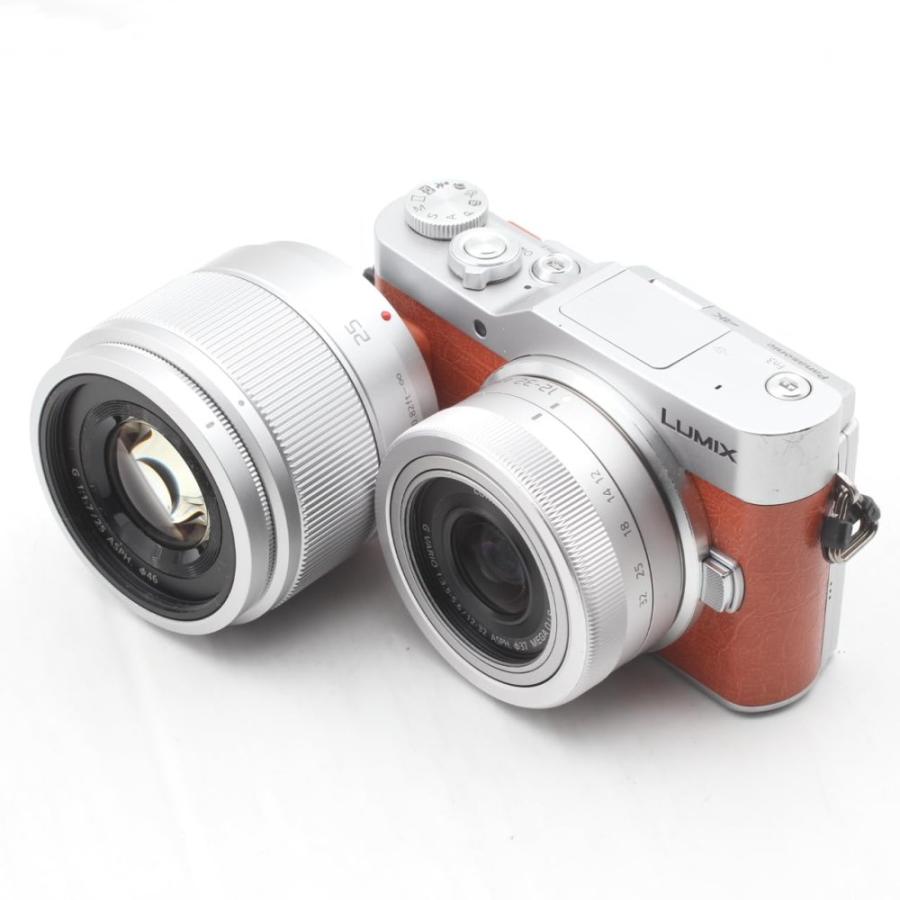パナソニック ミラーレス一眼カメラ ルミックス GF10 ダブルレンズ