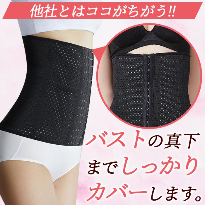 コルセット 補正下着 ダイエット くびれ ウエストシェイプ ベルト お腹 引き締め ボディシェイパー 6段階調整 メッシュタイプ送料無料 メール便[M便 1/3]eh202 |  | 14
