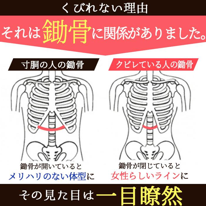 コルセット 補正下着 ダイエット くびれ ウエストシェイプ ベルト お腹 引き締め ボディシェイパー 6段階調整 メッシュタイプ送料無料 メール便[M便 1/3]eh202 |  | 05