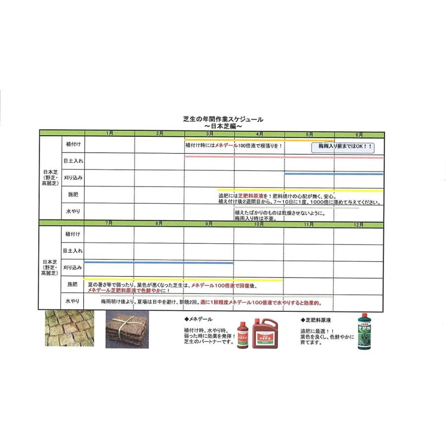 メネデール 液体肥料 メネデール 芝肥料 原液 1l たいみお堂 通販 Yahoo ショッピング