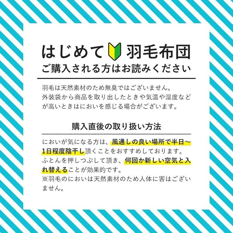 大人気の 昭和西川 昭和西川 羽毛布団 うもうふとん 羽毛ふとん ボリューム 380ダウンパワー 1.1kg グースダウン90% 掛け布団 シングル - 布団 大人気の 昭和西川 昭和西川 羽毛布団 うもうふとん 羽毛ふとん ボリューム 380ダウンパワー 1.1kg グースダウン90% 掛け布団 シングル - 布団