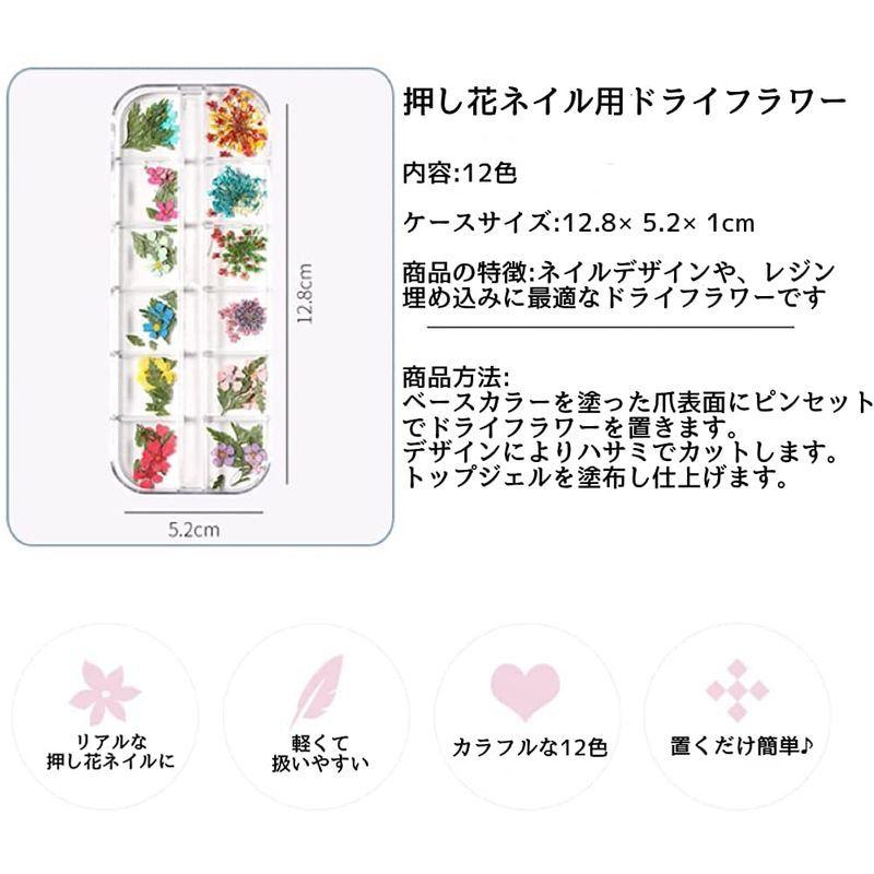 100 本物 ネイルアート ネイルアート レジン用 上品 押し花 ドライフラワー レースフラワー 3ケースセット ピンセット付き Nail Riche ネイルリシェ Www Threeriversofs Com
