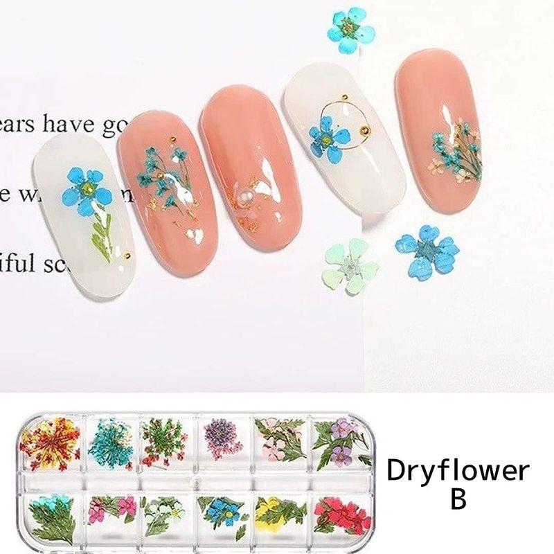 100 本物 ネイルアート ネイルアート レジン用 上品 押し花 ドライフラワー レースフラワー 3ケースセット ピンセット付き Nail Riche ネイルリシェ Www Threeriversofs Com