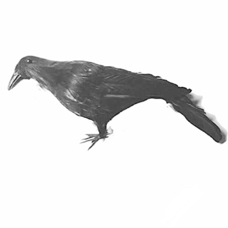 鳥の置物 カラス フィギュア その他 | donboscotiruchy.org