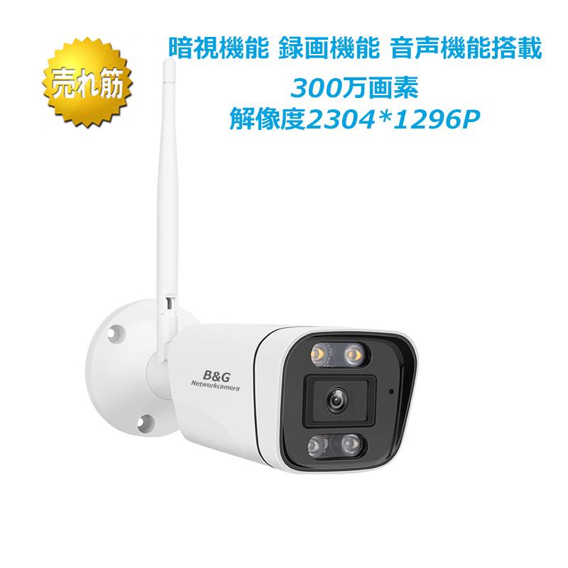 防犯カメラ 録画音声機能付き ワイヤレス対応 ネットワークカメラ IP