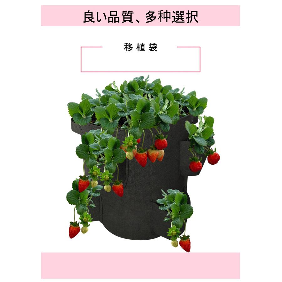 ストロベリー イチゴ栽培用袋 フェルト プランター 植え袋 ガーデン 園芸 植物育成 野菜栽培 室内