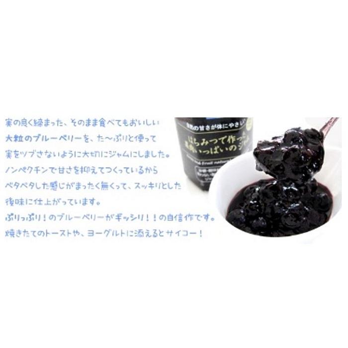 選べる 3本セット ハチミツと果実で作った ジャム 1瓶 150ｇ ノンシュガー 無添加 食品 林檎 甘夏 白桃 苺 ブルーベリー マンゴー クランベリー ラズベリー｜tyoudumeya｜10