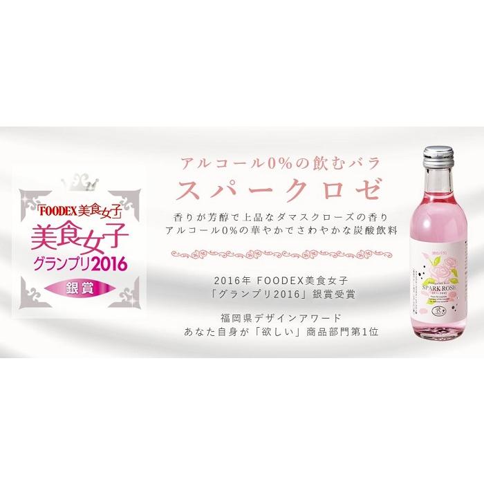 V マドロン ロゼ 2016 【公式通販】