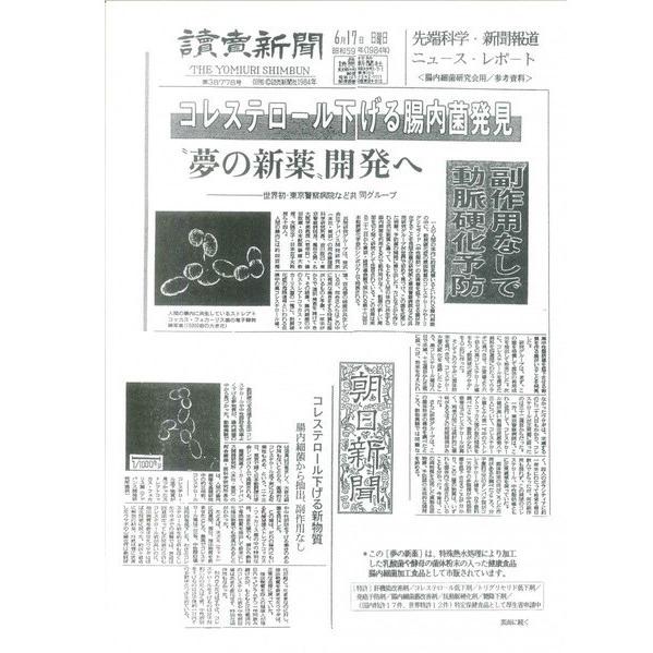 コッカスプラスアミネビタクルクミン90粒入り 10袋セット 腸内