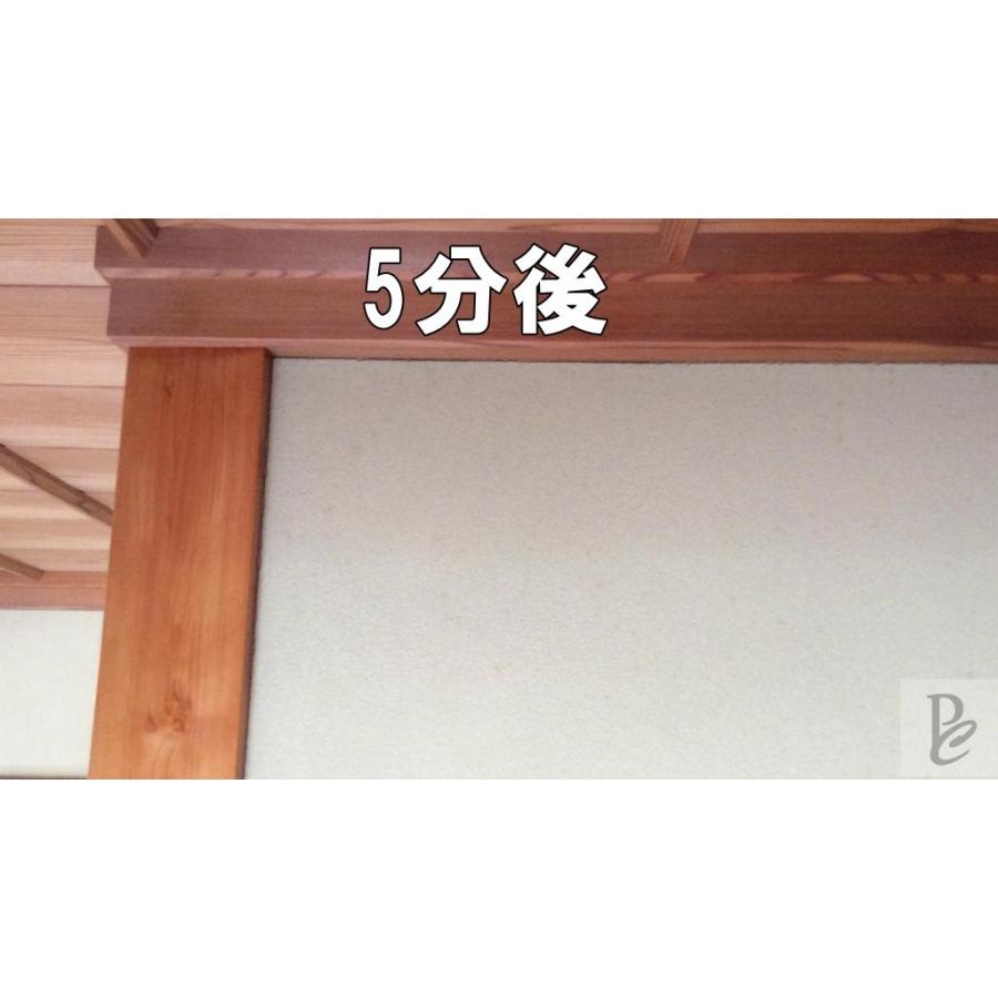 強力 カビ取りmax 土壁 砂壁用 Lサイズ 750ml Kabiroti Max L 1 2 メディアサービス Since 04 通販 Yahoo ショッピング