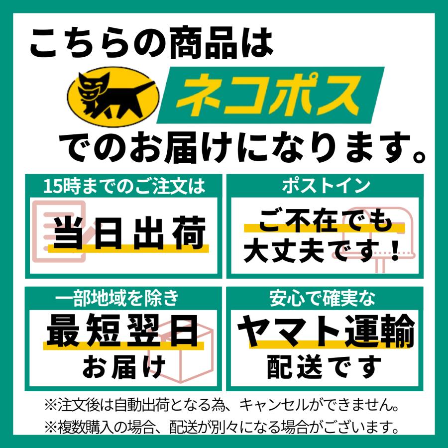 犬 靴 小型犬 ドッグシューズ 脱げない 大型犬 中型犬 滑り止め 肉球 散歩 火傷 足裏保護 防水 老犬｜tyrion｜19