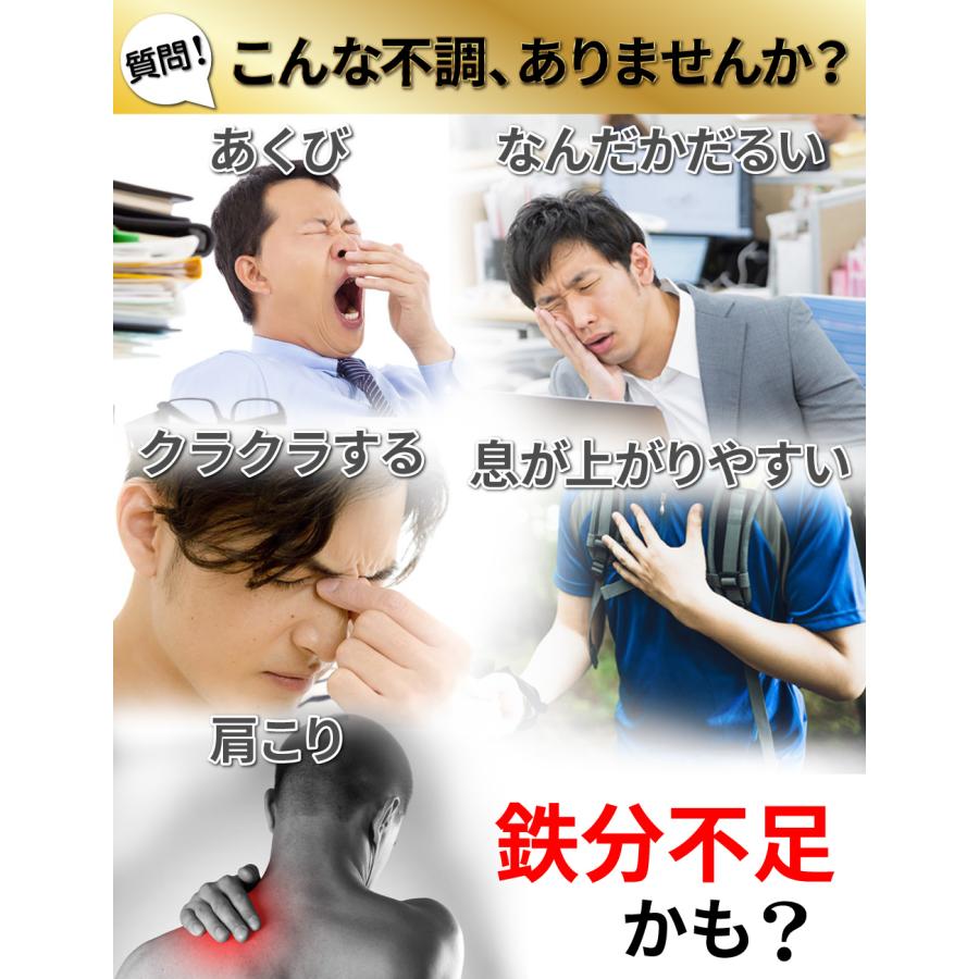 メガ鉄 栄養機能食品ヘム鉄含有量57.7mg配合（4粒あたり）鉄分補給、貧血対策に　3袋セット｜tyrion｜02