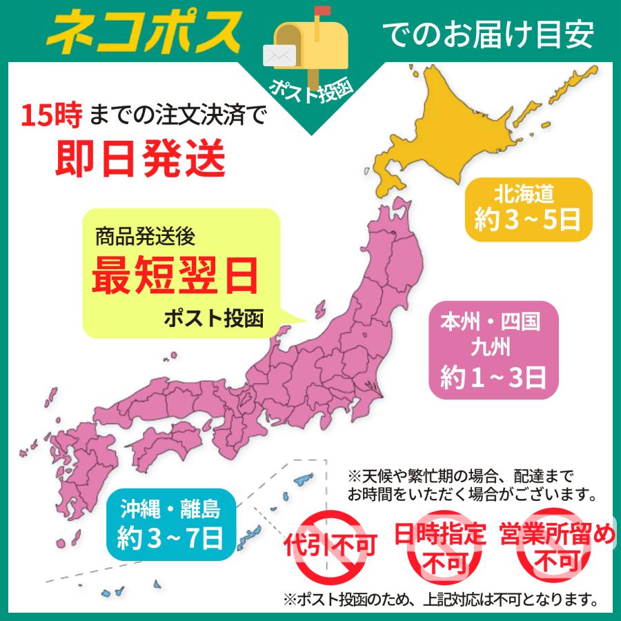 工作キット 木工 手作りキット 小学生が楽しめる 日本語説明書 作り方