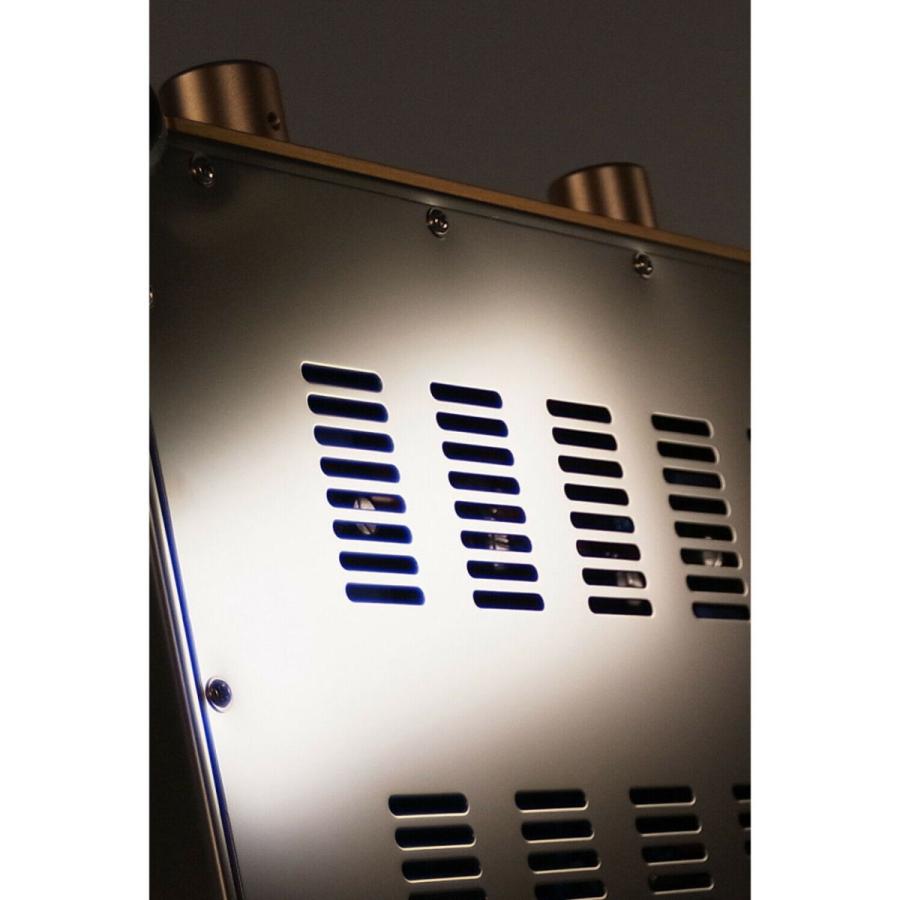 Douk Audio ステレオ EL34 真空管アンプ HiFi プッシュプル統合 Douk Audio ステレオ EL34 真空管アンプ HiFi プッシュプル統合