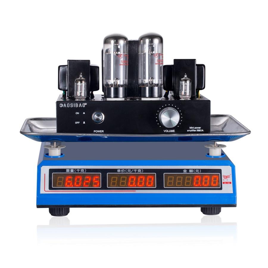 TOYOSO 5881A 真空管アンプ リファイアー ステレオ HiFi パワーアンプ