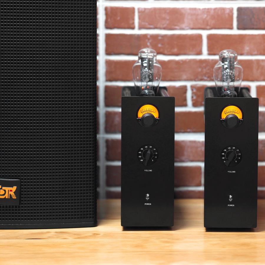 Nobsound 300B Monoblock 真空管 内蔵アンプ A級 HiFi パワー Nobsound 300B Monoblock 真空管 内蔵アンプ A級 HiFi パワー