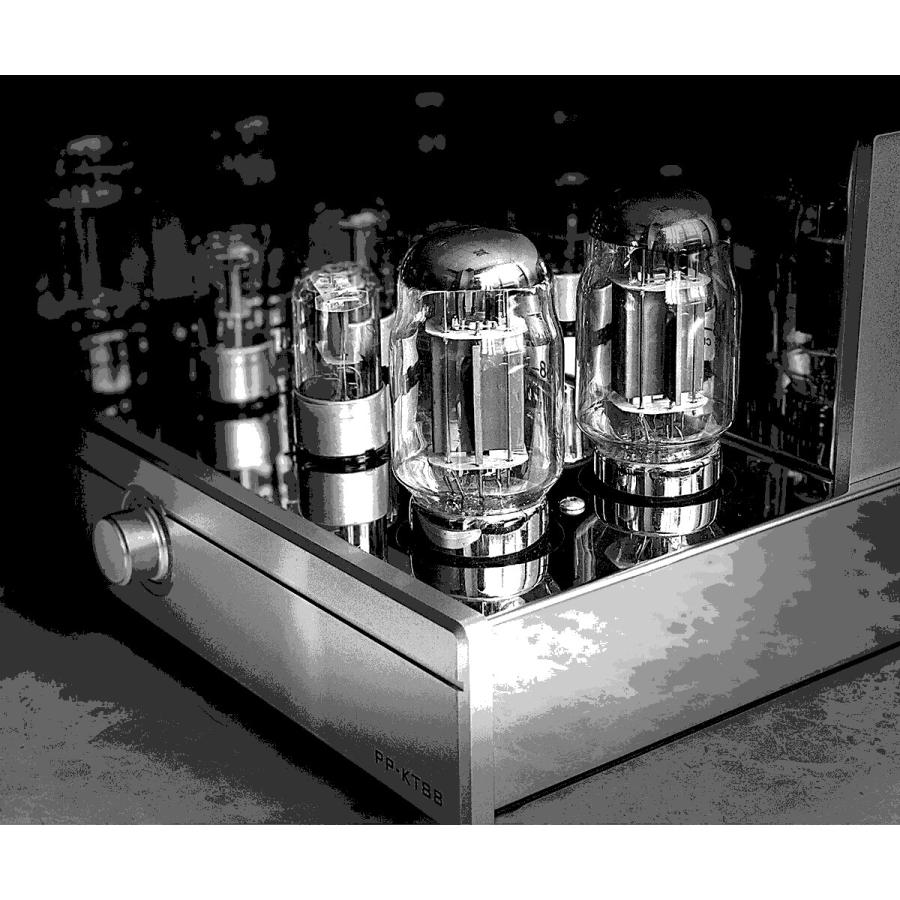 HiFi クラスAB KT88 真空管 パワーアンプ ステレオ プッシュプル HiFi クラスAB KT88 真空管 パワーアンプ ステレオ プッシュプル