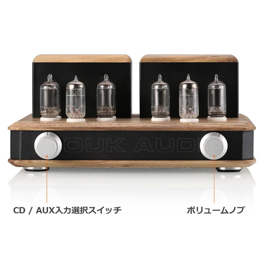 DYNASONIC AM-202 真空管アンプ 6cw5 プッシュプルアンプ DYNASONIC AM-202 真空管アンプ 6cw5 プッシュプルアンプ DYNASONIC AM