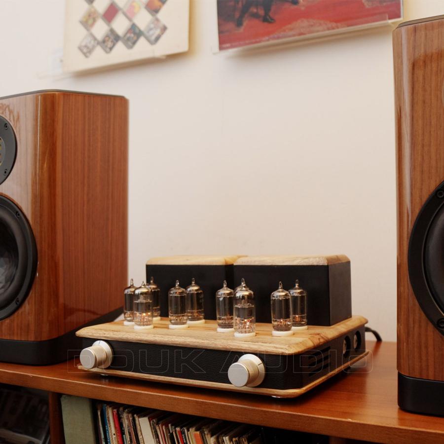 6F6G ステレオパワーアンプ 動作品 6F6G ステレオパワーアンプ 動作品 格安，本物保証 6F6G ステレオ