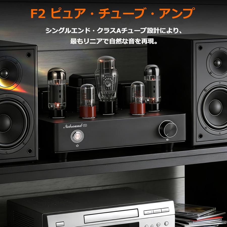 Nobsound F2 真空管 アンプ プリメインアンプ: シングルエンドA級 9W+