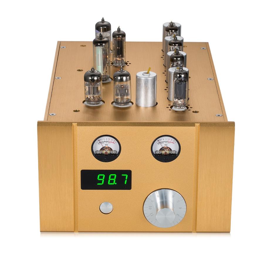 Douk Audio 真空管 FMラジオ 周波数変調バルブ ステレオレシーバ ゴールド(29425円)