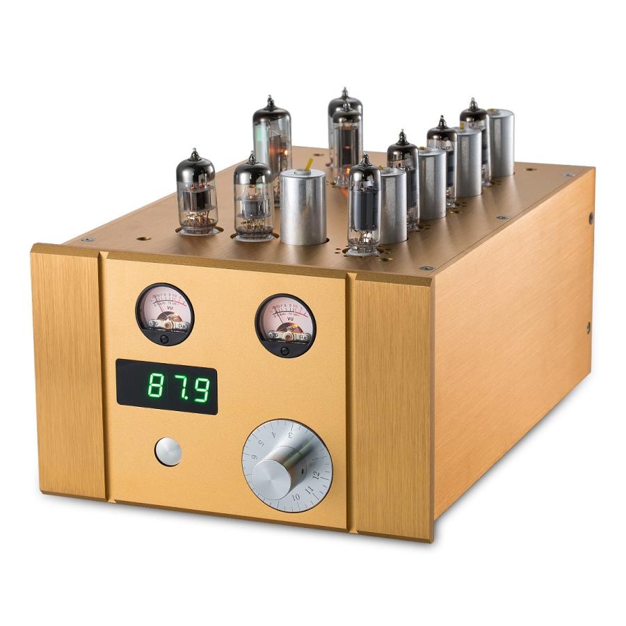 26【新品未使用】 Douk Audio 真空管 FMラジオ 周波数変調バルブ ステレオレシーバ ゴールド 【F8092414216】(29425円)