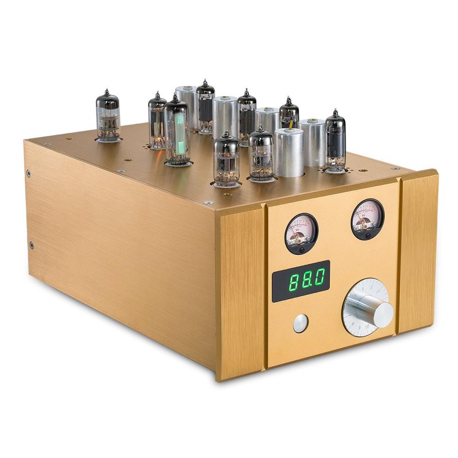 26【新品未使用】 Douk Audio 真空管 FMラジオ 周波数変調バルブ ステレオレシーバ ゴールド 【F8092414216】(29425円)