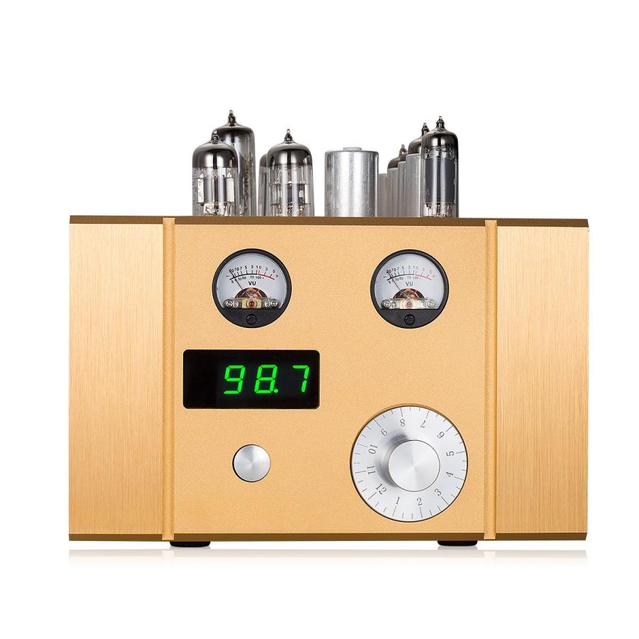 26【新品未使用】 Douk Audio 真空管 FMラジオ 周波数変調バルブ ステレオレシーバ ゴールド 【F8092414216】(29425円)