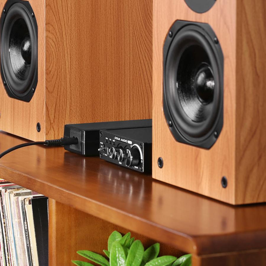 Douk Audio 100V-240V 32V / 5A 160W AC DC 電源アダプター : 楽々工房