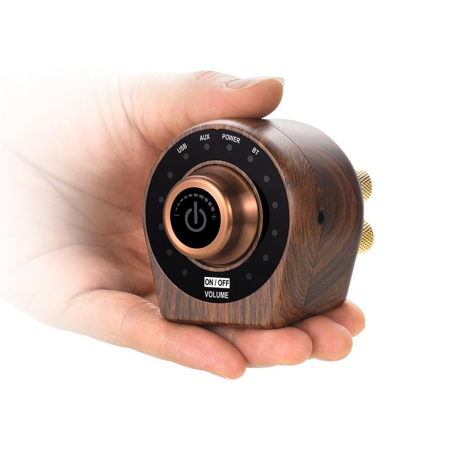 Douk Audio Mini Bluetooth 5.0 パワーアンプ クラスD デジタル