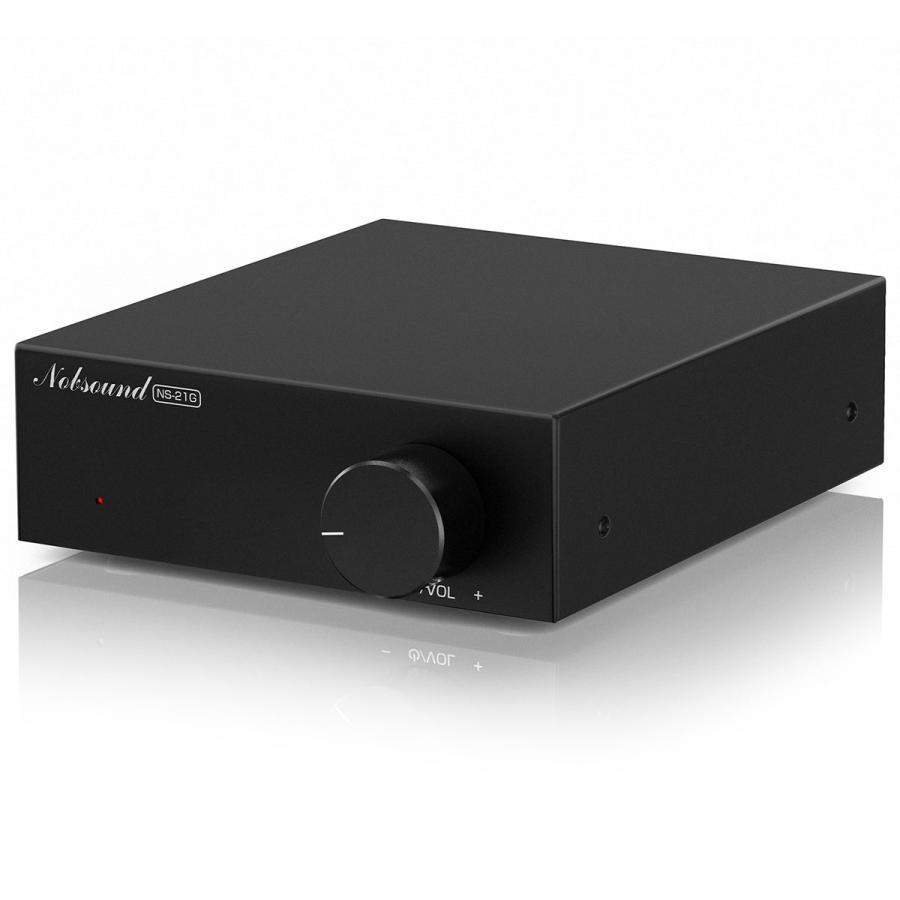 Nobsound NS-21G モノブロックアンプ 100W 高効率 TPA3116チップ搭載