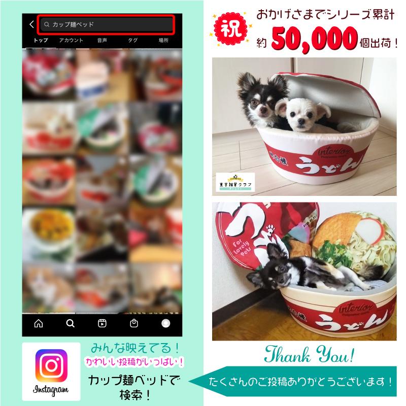 50 Off メーカー直売正規品 カップ麺ペットハウスsサイズ うどん そば ペットベッド ペットソファ おもしろ 猫 犬 ペット インテリア Sns映え Aynaelda Com