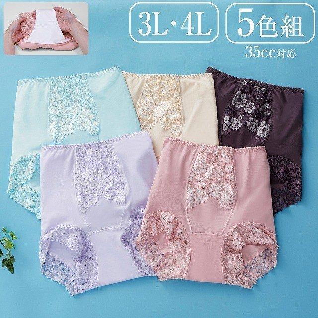 人気満点 レース使い 安心吸水パンツ 深履きレース1分丈タイプ 35cc 5色組 3l 4l ピンク ベージュ ボルドー ライラック ミントグリーン 高い素材 Www Aqtsolutions Com