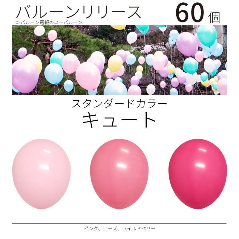 バルーンリリース ヘリウム入り 結婚式 パーティー イベント 60本 スタンダードカラー キュート 東京都心にデリバリー D Rls 0004 ユー バルーン 通販 Yahoo ショッピング