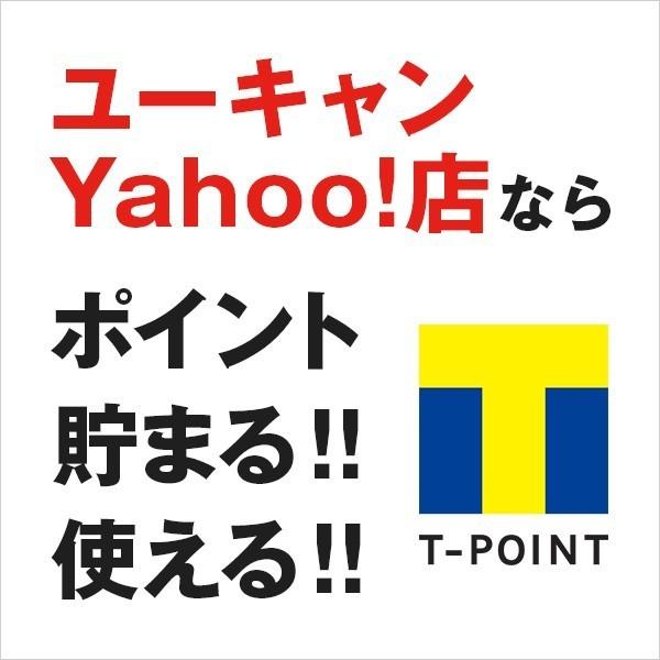 ユーキャンの登録販売者通信講座 デジタルテキストなし 割引 コース 生涯学習のユーキャン 通販 Paypayモール