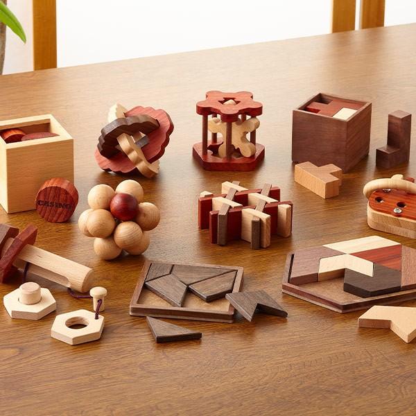 ひらめき編 パズルで脳トレーニング 見た目も解き方も多彩な木製パズルが全10種類された パズル で脳トレーニング で 脳を楽しく活性化 ユーキャン通販ショップが送料当社負担でお届け 2fb00 パズルで脳トレーニング ゲーム おもちゃ 木製パズル 10種 特製冊子付き