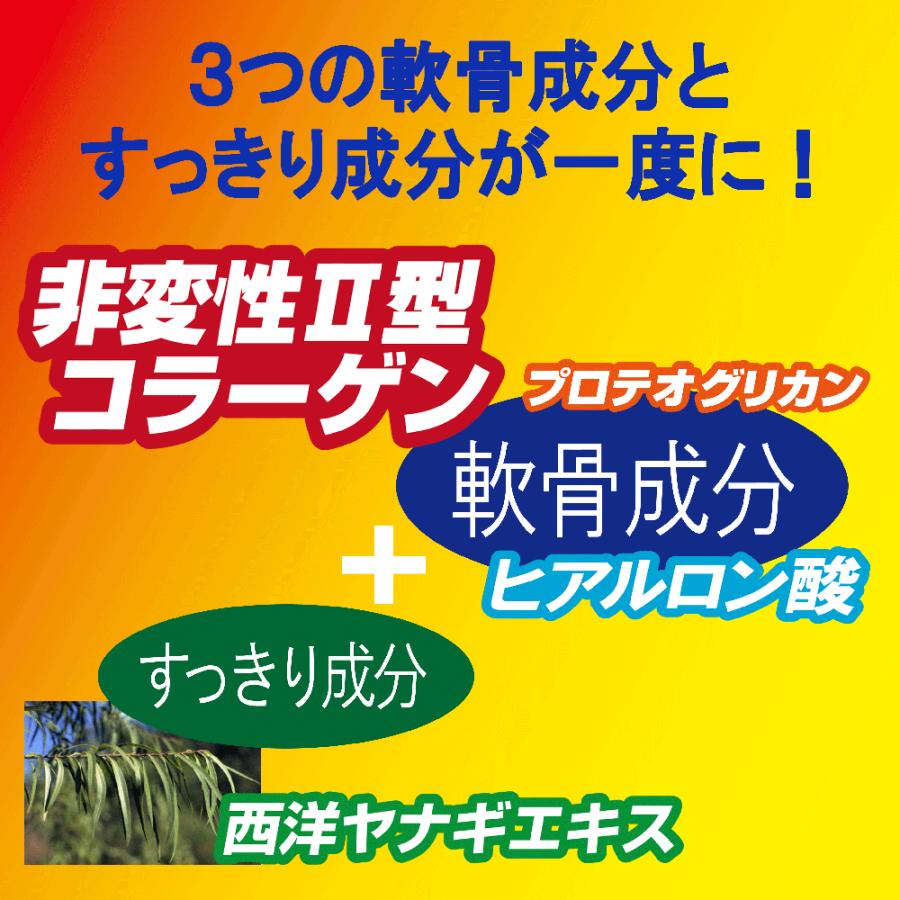 健康食品 非変性 II型 コラーゲン サプリメント ラックジョインUC-IIネオ 40カプセル UC-2 ふしぶし 応援 西洋ヤナギ 軟骨成分 すっきり成分　 | ユニテックメディカル | 05