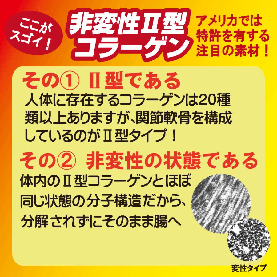 健康食品 非変性 II型 コラーゲン サプリメント ラックジョインUC-IIネオ 40カプセル UC-2 ふしぶし 応援 西洋ヤナギ 軟骨成分 すっきり成分　 | ユニテックメディカル | 06