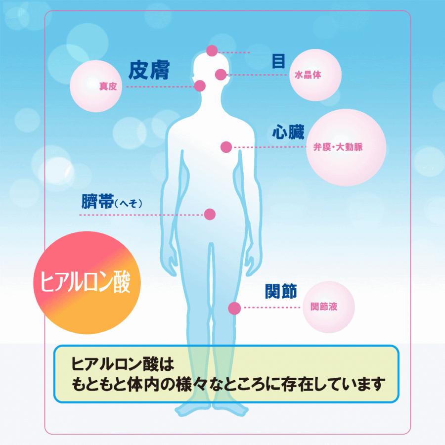 健康食品 ホワイティア ヒアルロン酸 サプリメント セラミド L-シスチン ブドウ種子エキス ローヤルゼリー | ユニテックメディカル | 03