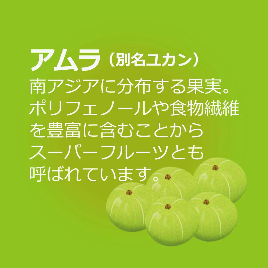 健康食品 スーパーフルーツ アムラ ユカン セラミド コラーゲン GABA ハトムギ 還元型コエンザイムQ10 サプリメント パウダー｜u-koryoyakuten｜05