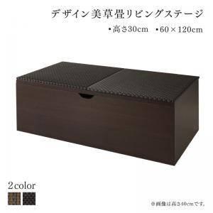 国産　収納付きデザイン美草畳リビングステージ 風凛 フーリン 畳ボックス収納 120×60cm ロータイプ