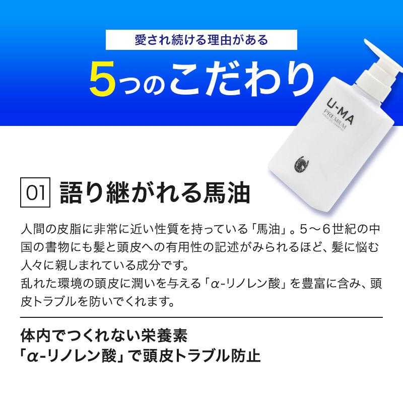 シャンプー セット 300ml 2本 メンズ 男性 馬油 アミノ酸 スカルプ 薬用 頭皮 育毛 抜け毛 薄毛 フケ カユミ ノンシリコン Y Premium 002 ウーマ 頭皮用馬油シャンプー 通販 Yahoo ショッピング