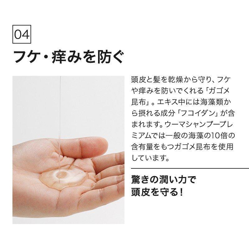 シャンプー セット 300ml 3本 メンズ 男性 馬油 アミノ酸 スカルプ 薬用 頭皮 育毛 抜け毛 薄毛 フケ カユミ ノンシリコン Y Premium 003 ウーマ 頭皮用馬油シャンプー 通販 Yahoo ショッピング