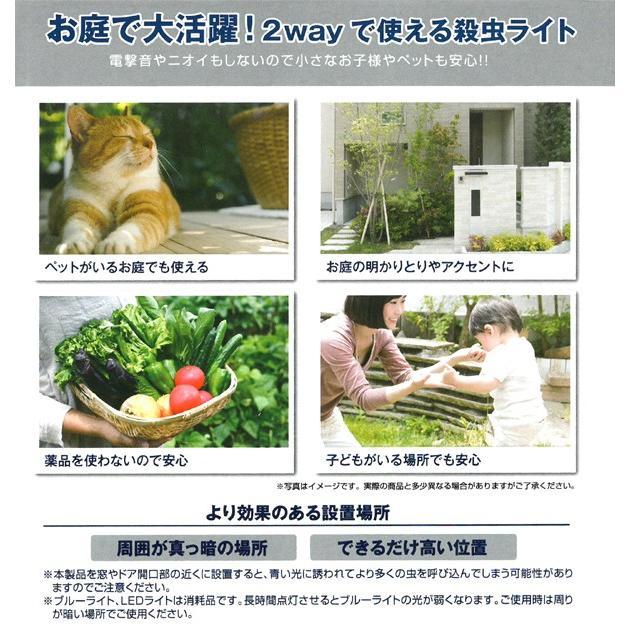 ガーデン殺虫ライト ソーラー充電 ガーデンライト 電撃殺虫灯 ブルーライト 誘引 屋外 庭 外灯 夜間 玄関 虫対策 送料無料- 60N◇ ガーデン殺虫ライトAXL |  | 06