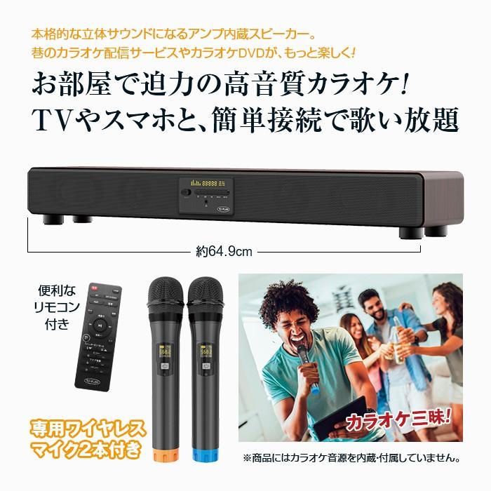 輝く高品質な カラオケサウンドpro ワイヤレスマイク2本付き カラオケ サウンドプロ Tkmi 002 宅送 Blog Lonolife Com