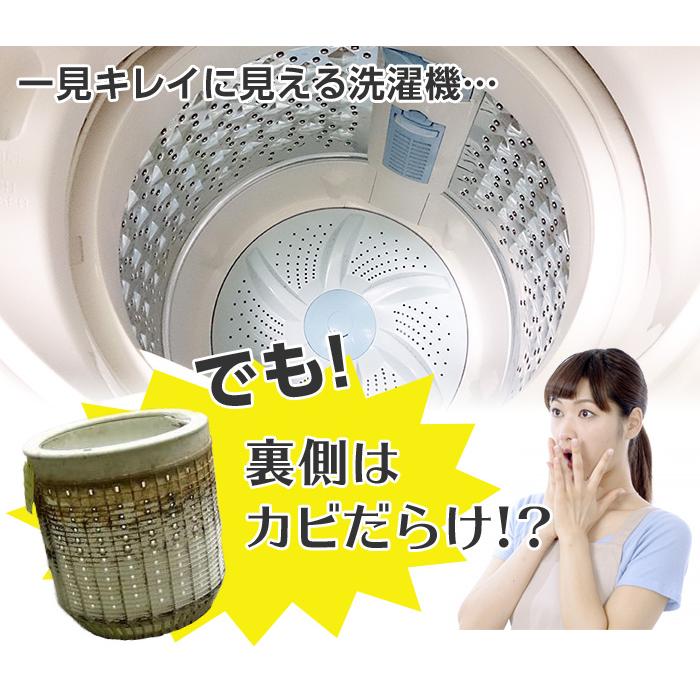 洗濯槽クリーナー 洗濯槽快 セット (クリーナー×12包、ネット×2枚) - 洗濯槽 洗剤 天然 クリーナー 洗濯機 掃除 カビ 菌 除菌 消臭 予防 対策 防止 洗濯爽快